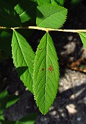 IMG_3309