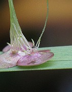 IMG_3004