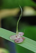 IMG_3005