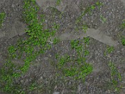 IMG_1605