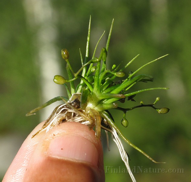 IMG_6289.JPG