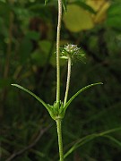 IMG_3567