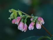 IMG_2000