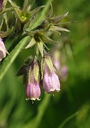 IMG_1836