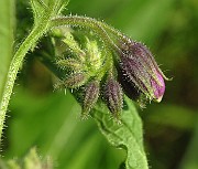IMG_1838
