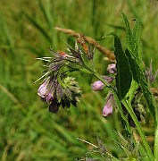 IMG_1844