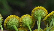 IMG_1730