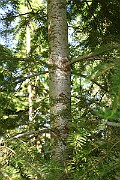 IMG_9839