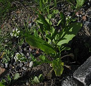 IMG_8110