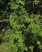 IMG_8865