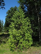 IMG_8866