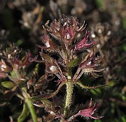 IMG_9038