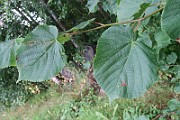 IMG_7069