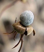 IMG_4315