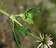 IMG_3879