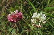 IMG_7676