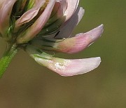 IMG_9186