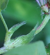 IMG_1908