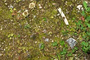 IMG_3900