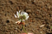 IMG_9365