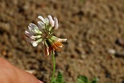 IMG_9368