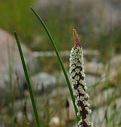 IMG_6709