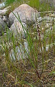 IMG_6712