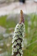 IMG_6713