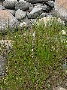 IMG_6725