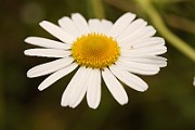 IMG_0419