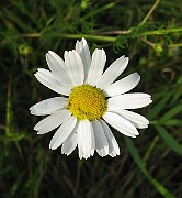 IMG_4829