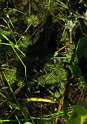 IMG_7725