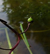IMG_5719