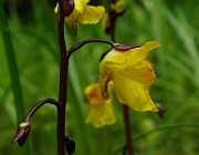IMG_5723