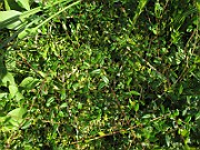 IMG_8604
