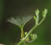 IMG_7756