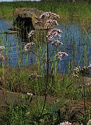 IMG_7871