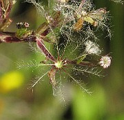 IMG_8091