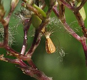 IMG_8092