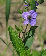 IMG_6199