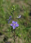 IMG_6208