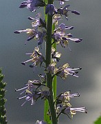 IMG_7365