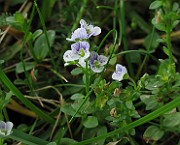IMG_6359