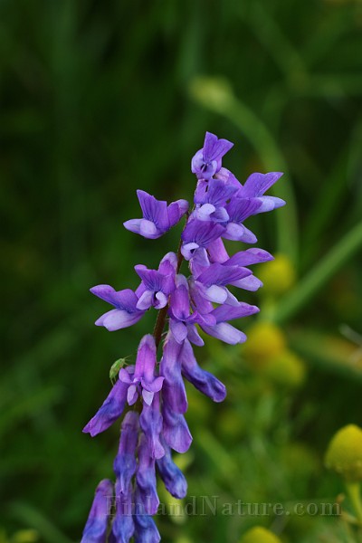 IMG_5780.JPG