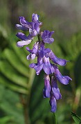 IMG_7480