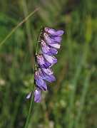 IMG_7482