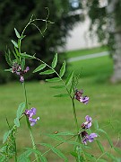IMG_3692