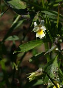 IMG_1730