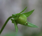 IMG_2385