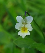 IMG_2901